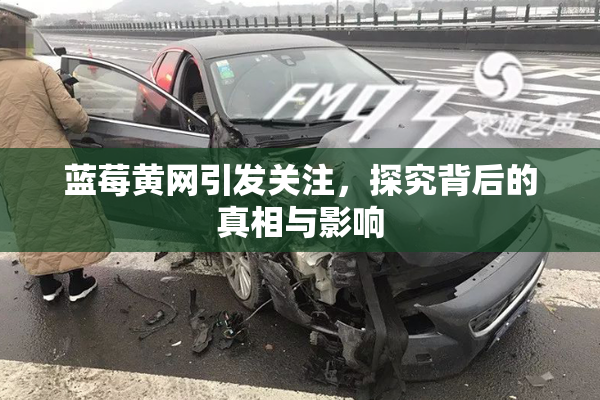 蓝莓黄网引发关注，探究背后的真相与影响