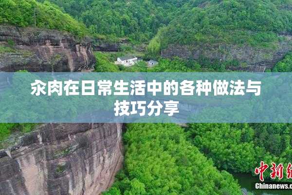 汆肉在日常生活中的各种做法与技巧分享