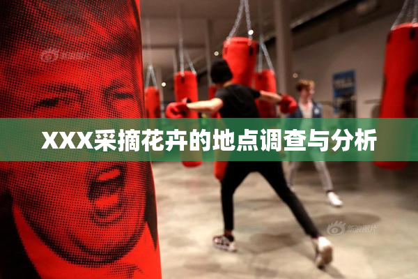 XXX采摘花卉的地点调查与分析