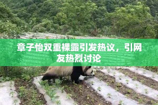 章子怡双重裸露引发热议，引网友热烈讨论
