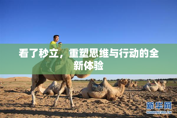 看了秒立，重塑思维与行动的全新体验