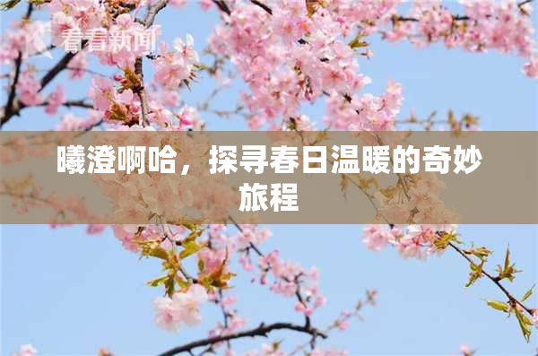 曦澄啊哈，探寻春日温暖的奇妙旅程