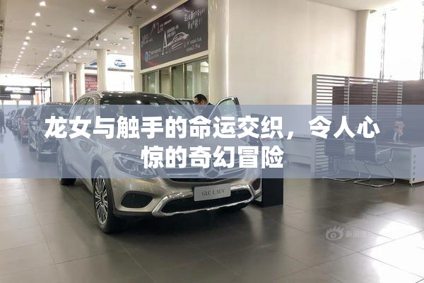 龙女与触手的命运交织，令人心惊的奇幻冒险