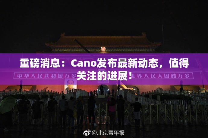 重磅消息：Cano发布最新动态，值得关注的进展！
