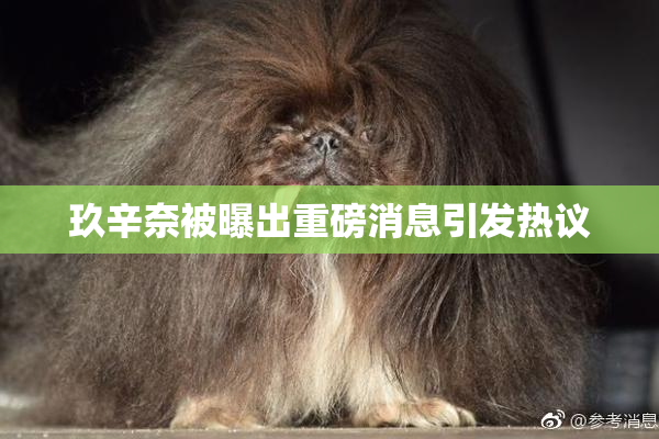 玖辛奈被曝出重磅消息引发热议