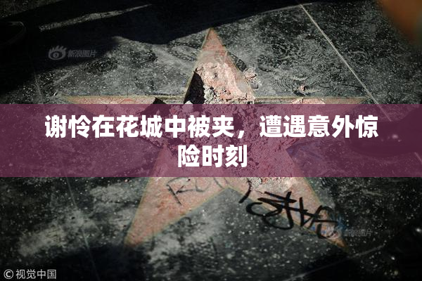 谢怜在花城中被夹，遭遇意外惊险时刻