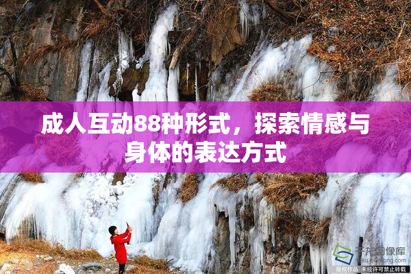 成人互动88种形式，探索情感与身体的表达方式