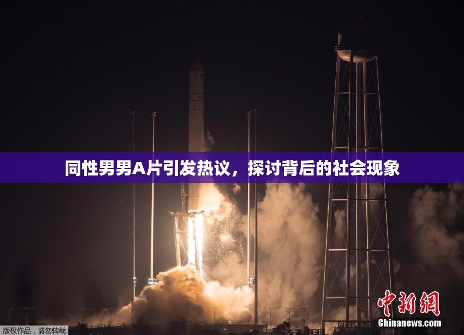 同性男男A片引发热议，探讨背后的社会现象