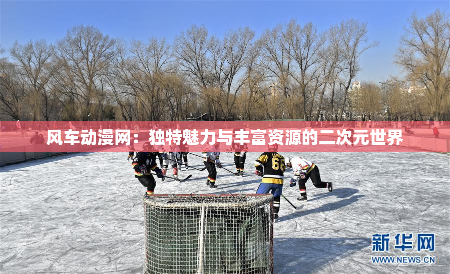 风车动漫网：独特魅力与丰富资源的二次元世界