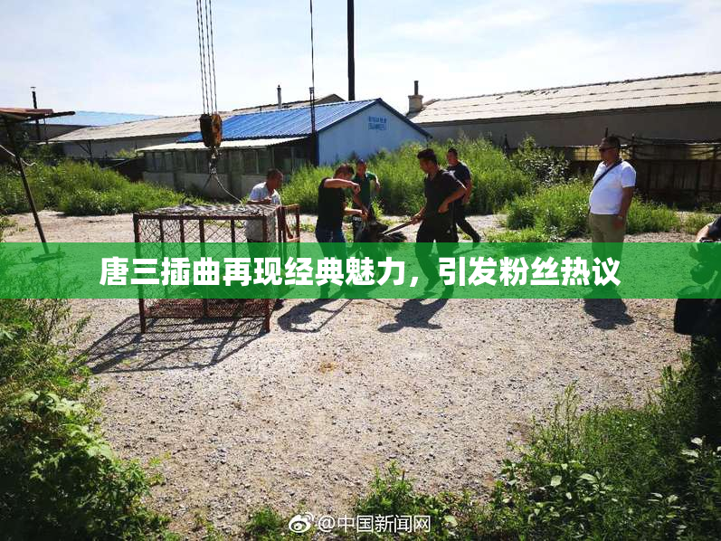 唐三插曲再现经典魅力，引发粉丝热议