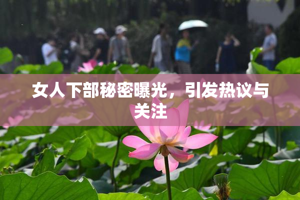 女人下部秘密曝光，引发热议与关注