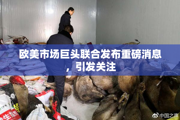 欧美市场巨头联合发布重磅消息，引发关注
