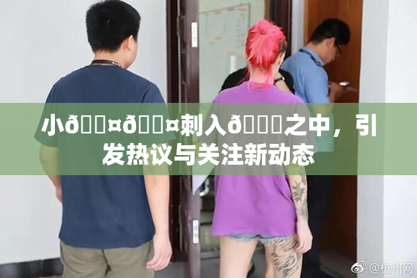 小🐤🐤刺入🍑之中，引发热议与关注新动态