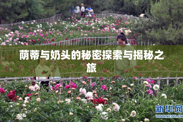荫蒂与奶头的秘密探索与揭秘之旅