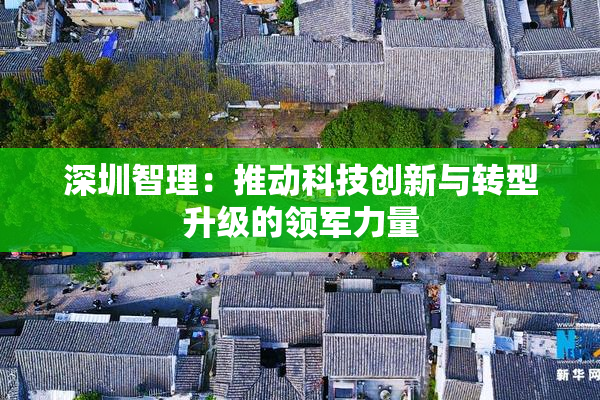 深圳智理：推动科技创新与转型升级的领军力量