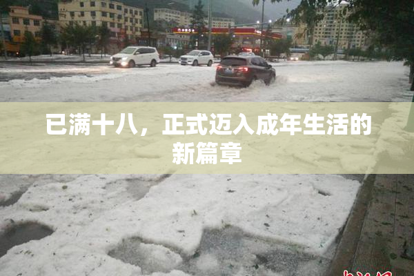 已满十八，正式迈入成年生活的新篇章