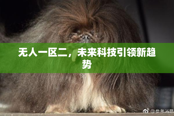 无人一区二，未来科技引领新趋势