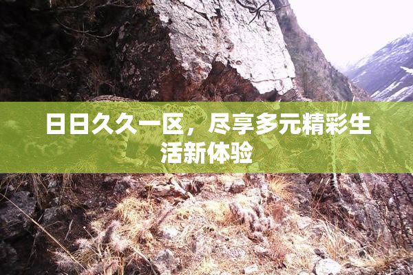 日日久久一区，尽享多元精彩生活新体验