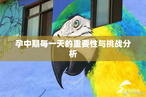 孕中期每一天的重要性与挑战分析