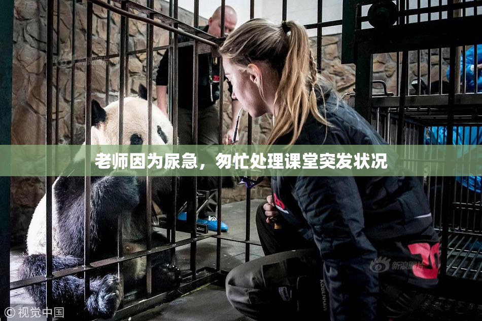 老师因为尿急，匆忙处理课堂突发状况