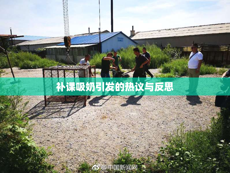 补课吸奶引发的热议与反思