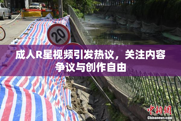 成人R星视频引发热议，关注内容争议与创作自由