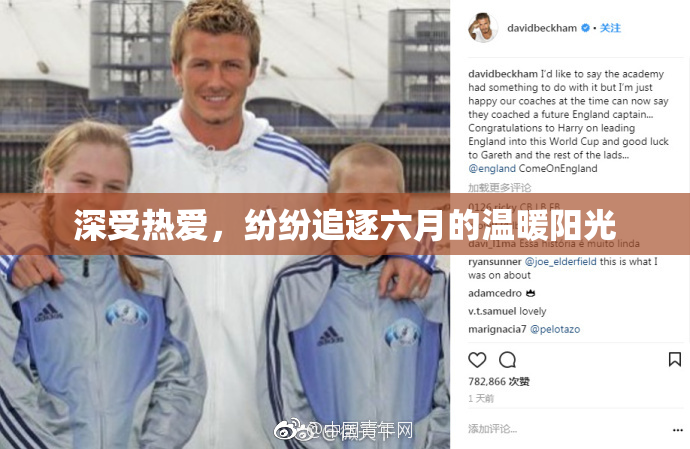 深受热爱，纷纷追逐六月的温暖阳光