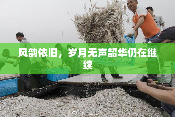 风韵依旧，岁月无声韶华仍在继续