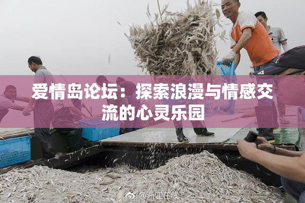 爱情岛论坛：探索浪漫与情感交流的心灵乐园