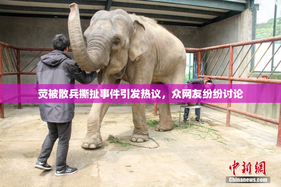 荧被散兵撕扯事件引发热议，众网友纷纷讨论