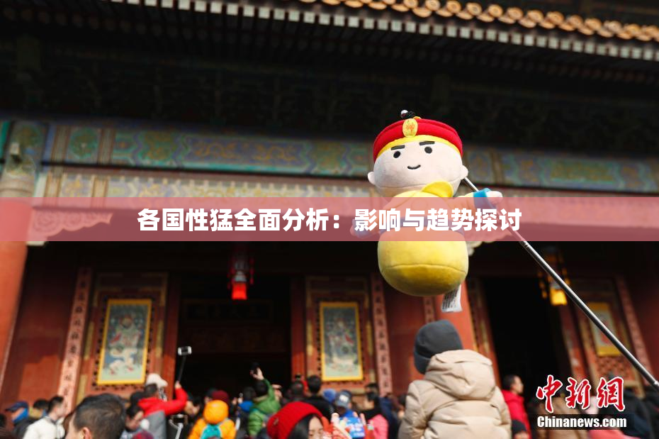 各国性猛全面分析：影响与趋势探讨