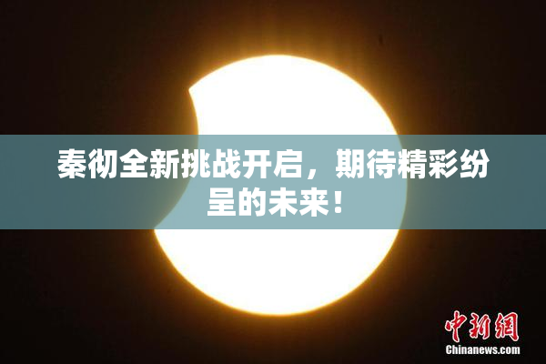 秦彻全新挑战开启，期待精彩纷呈的未来！