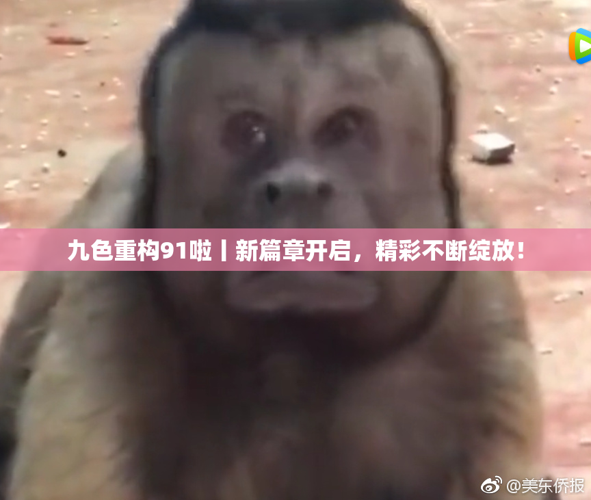 九色重构91啦丨新篇章开启，精彩不断绽放！