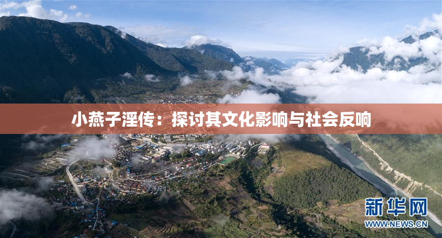小燕子淫传：探讨其文化影响与社会反响
