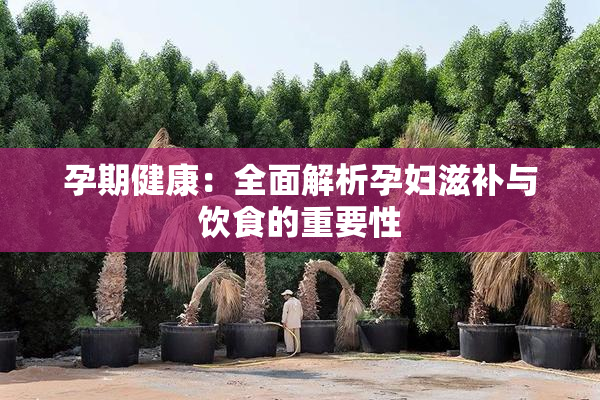 孕期健康：全面解析孕妇滋补与饮食的重要性
