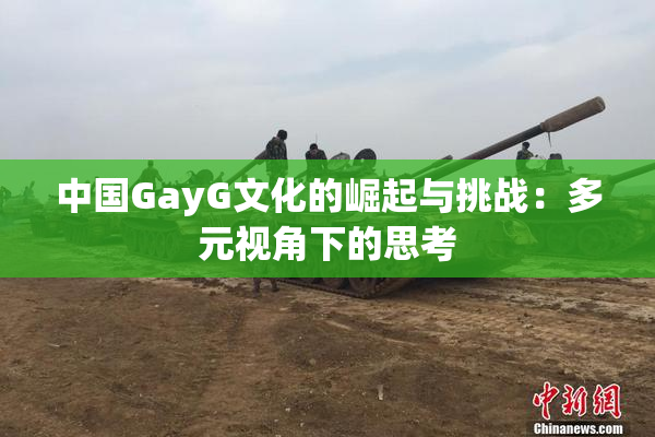 中国GayG文化的崛起与挑战：多元视角下的思考