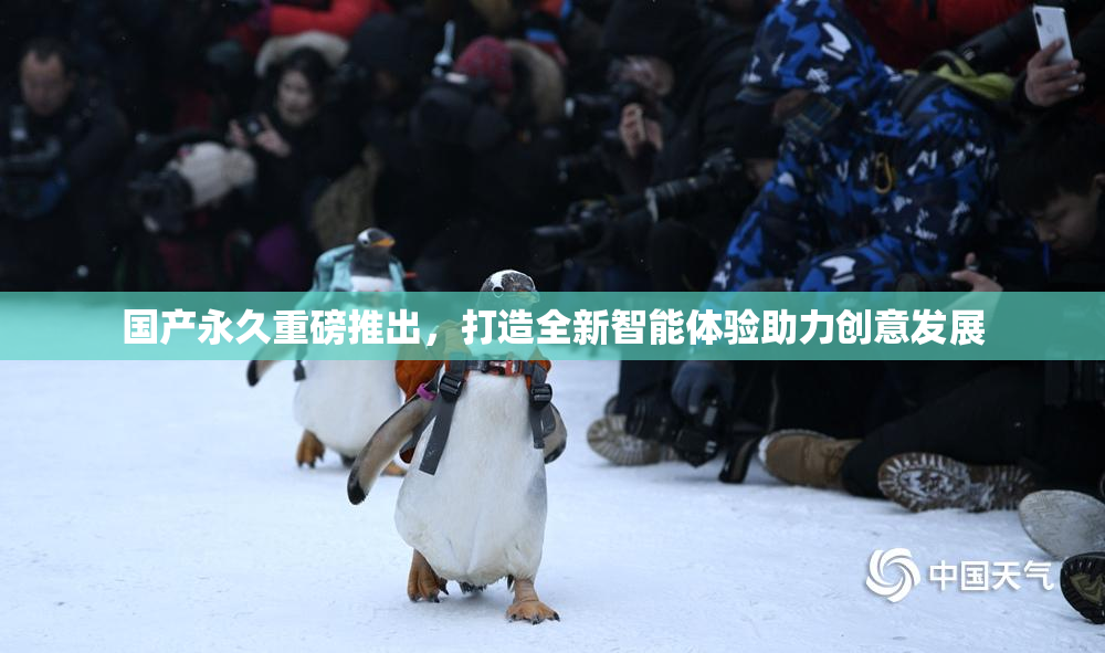 国产永久重磅推出，打造全新智能体验助力创意发展