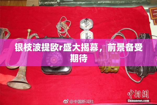 银枝波提欧r盛大揭幕，前景备受期待