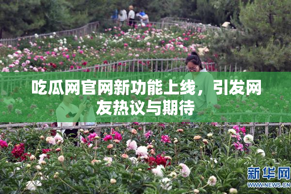 吃瓜网官网新功能上线，引发网友热议与期待