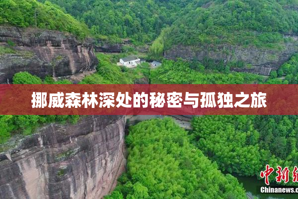 挪威森林深处的秘密与孤独之旅
