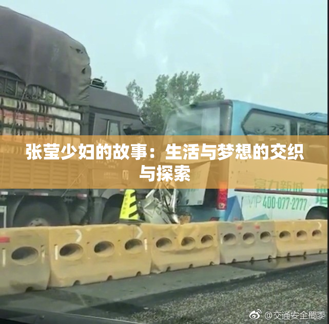 张莹少妇的故事：生活与梦想的交织与探索