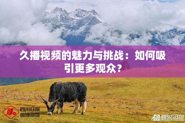 久播视频的魅力与挑战：如何吸引更多观众？