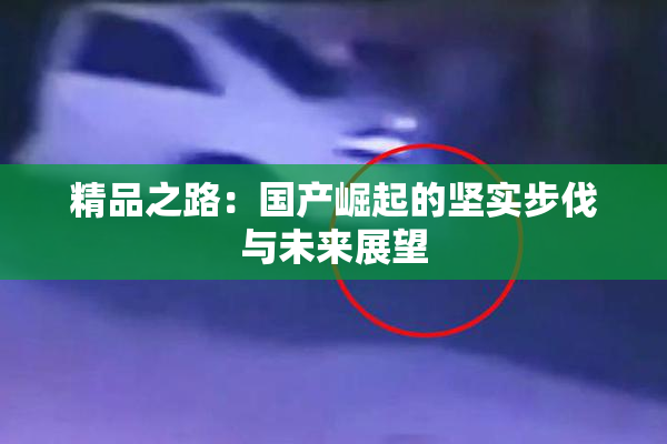 精品之路：国产崛起的坚实步伐与未来展望