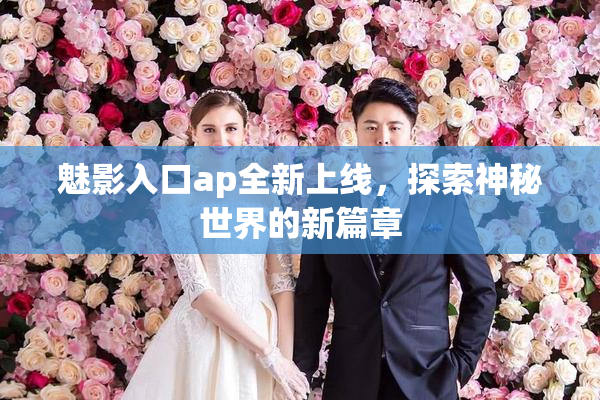 魅影入口ap全新上线，探索神秘世界的新篇章