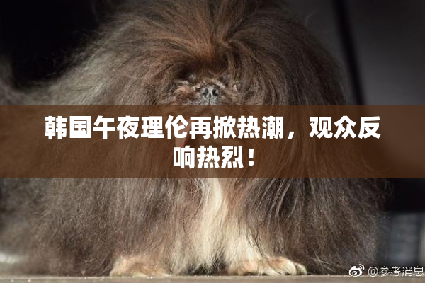 韩国午夜理伦再掀热潮，观众反响热烈！