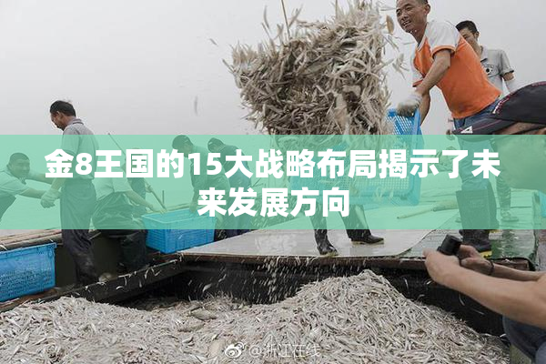 金8王国的15大战略布局揭示了未来发展方向