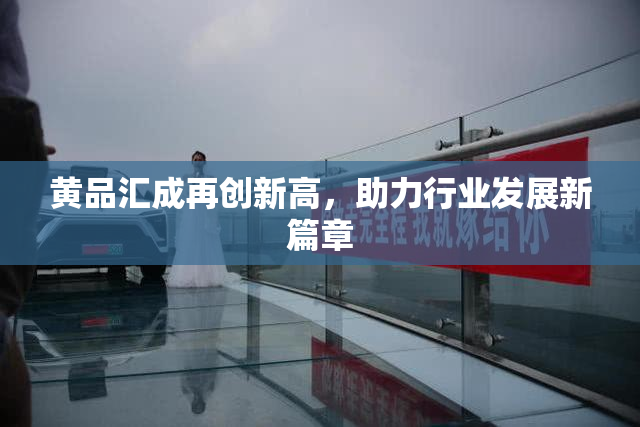 黄品汇成再创新高，助力行业发展新篇章