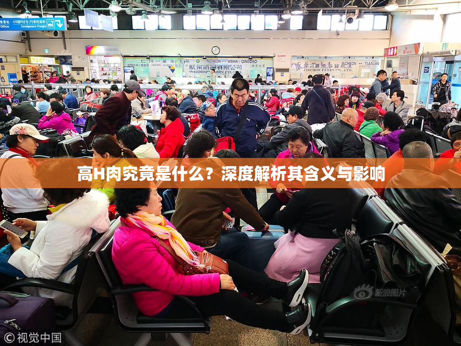 高H肉究竟是什么？深度解析其含义与影响