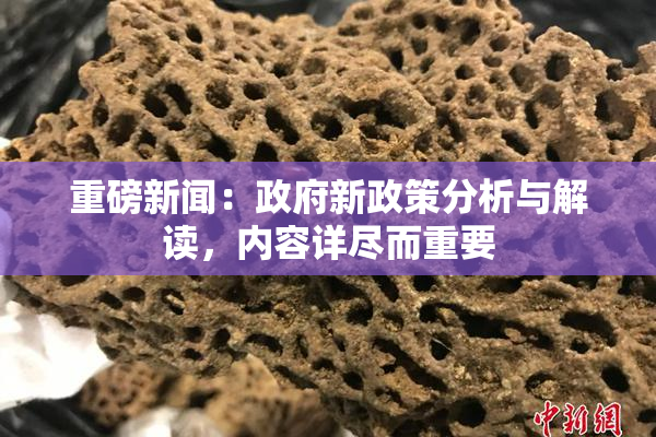 重磅新闻：政府新政策分析与解读，内容详尽而重要