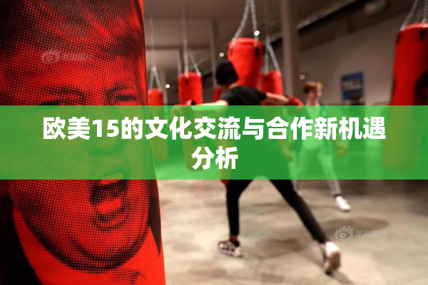 欧美15的文化交流与合作新机遇分析